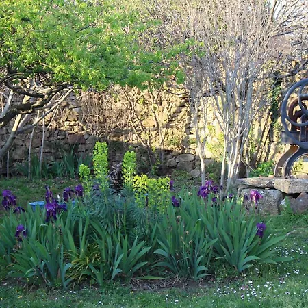 Дом отдыха Les Romarins B&b, 10 Min D'uzes, Piscine Et Grand Jardin, Table D'hote