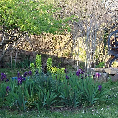Bed & Breakfast Les Romarins B&b, 10 Min D'uzes, Piscine Et Grand Jardin, Table D'hote
