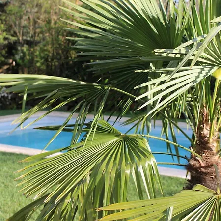 Les Romarins B&b, 10 Min D'uzes, Piscine Et Grand Jardin, Table D'hote Bed & Breakfast